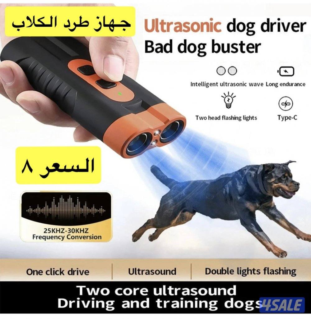 اضاءة كشتات10