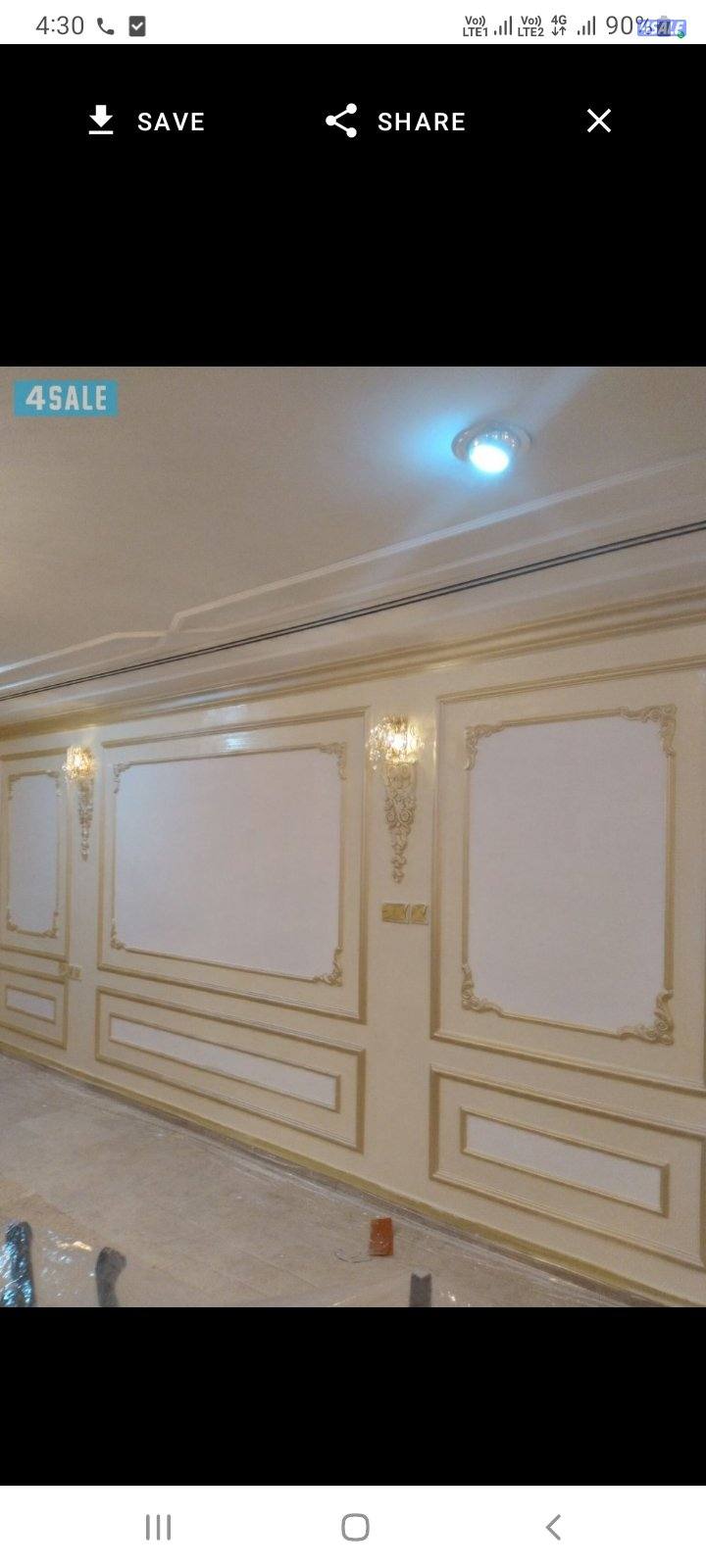 صباغ باكستاني1