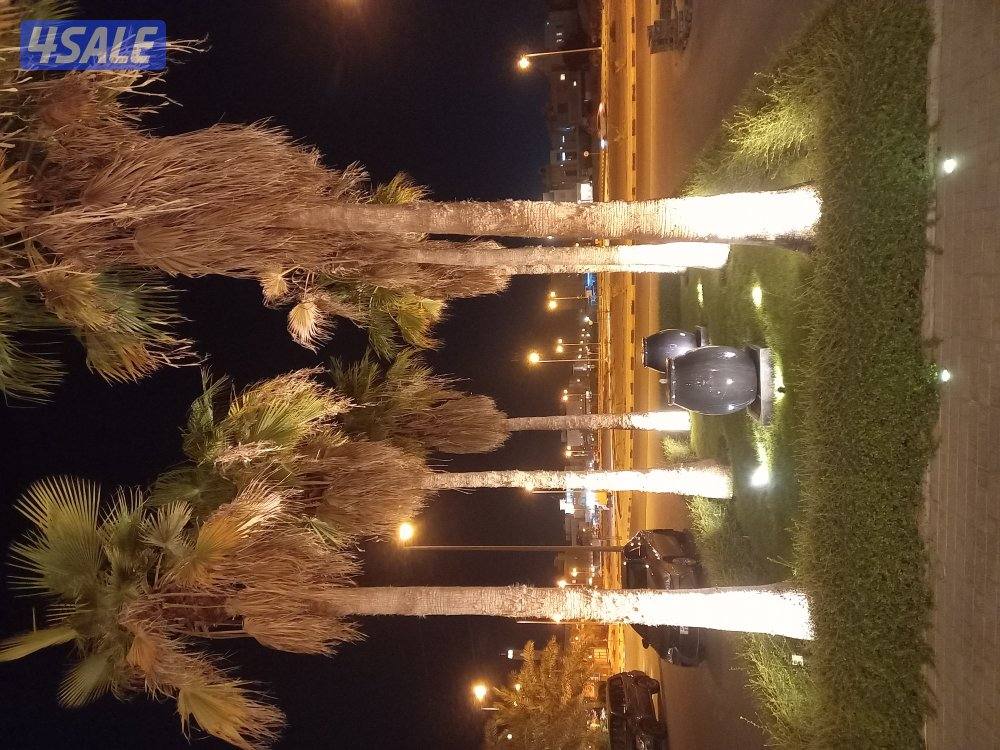 تنسيق حدائق2