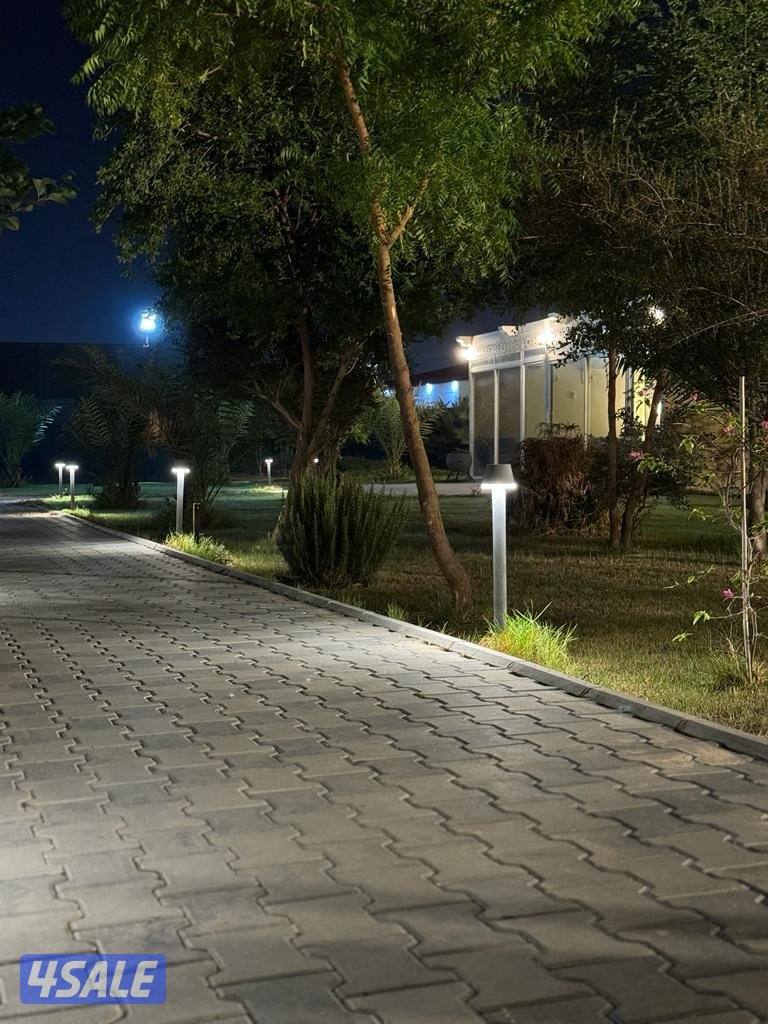 للأجار مزرعة قطعة 9 vvip في الوفرة 🌿🌴🍀☘️🌴 قطعه (9) طريق1