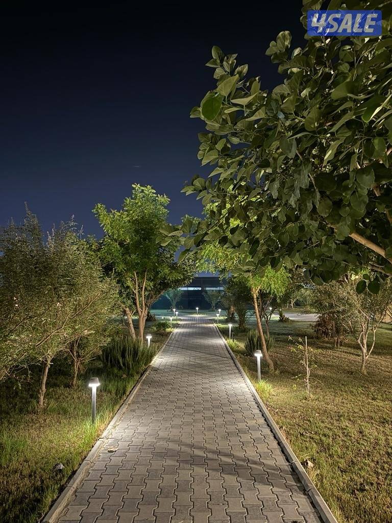 للأجار مزرعة قطعة 9 vvip في الوفرة 🌿🌴🍀☘️🌴 قطعه (9) طريق2