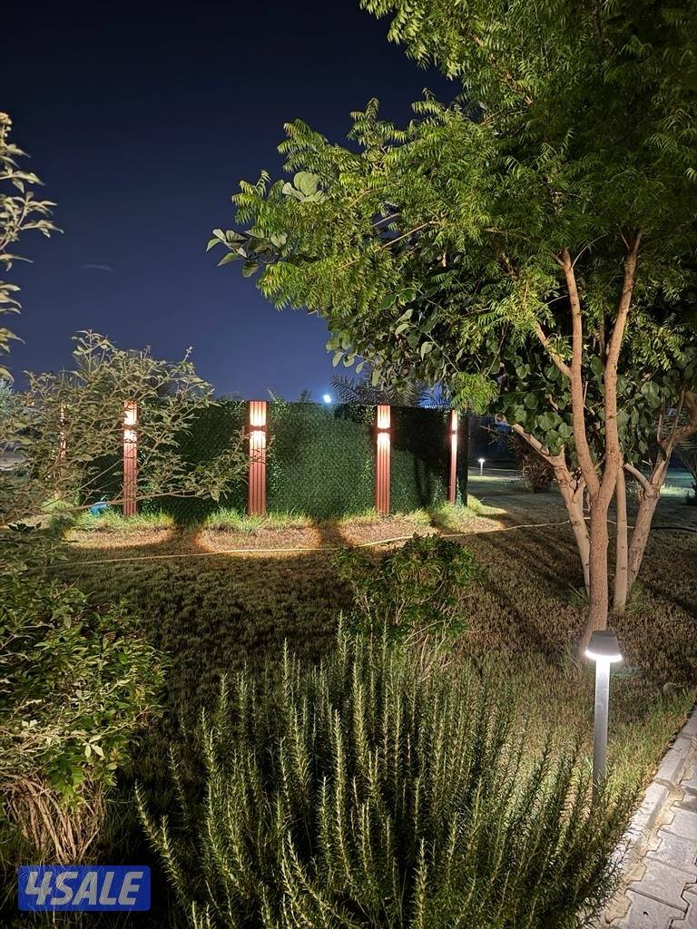 للأجار مزرعة قطعة 9 vvip في الوفرة 🌿🌴🍀☘️🌴 قطعه (9) طريق5