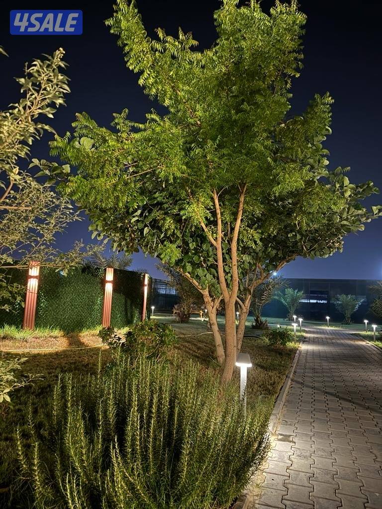 للأجار مزرعة قطعة 9 vvip في الوفرة 🌿🌴🍀☘️🌴 قطعه (9) طريق6