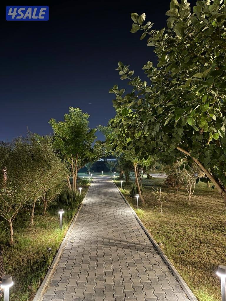 للأجار مزرعة قطعة 9 vvip في الوفرة 🌿🌴🍀☘️🌴 قطعه (9) طريق7