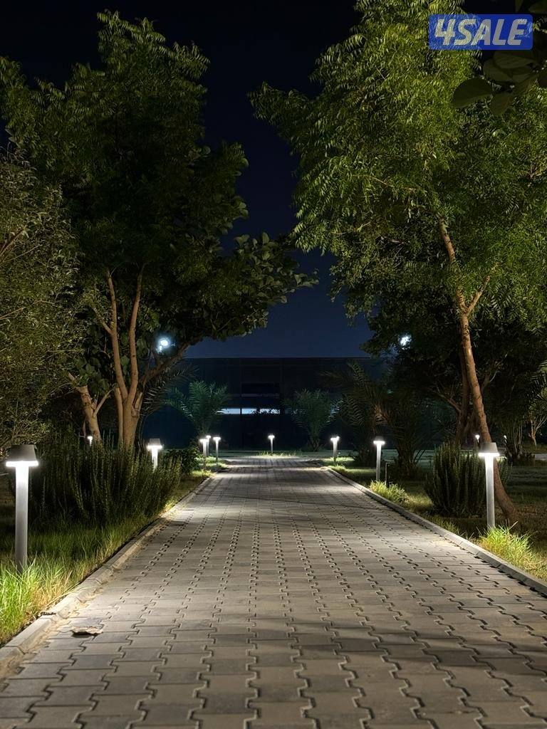 للأجار مزرعة قطعة 9 vvip في الوفرة 🌿🌴🍀☘️🌴 قطعه (9) طريق8