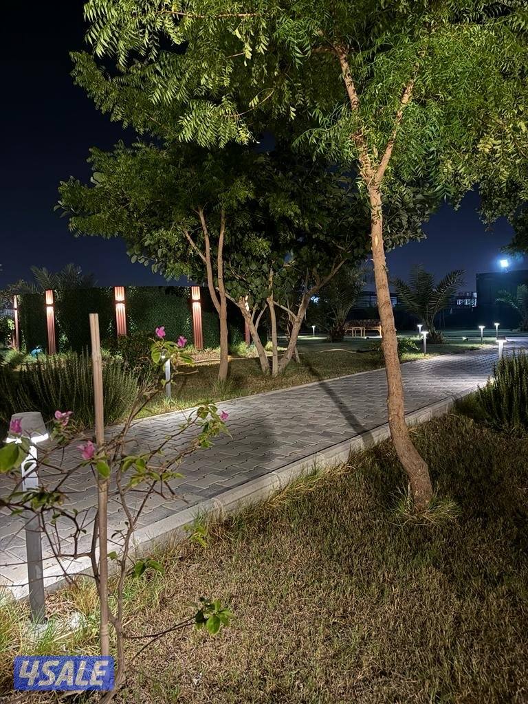 للأجار مزرعة قطعة 9 vvip في الوفرة 🌿🌴🍀☘️🌴 قطعه (9) طريق9