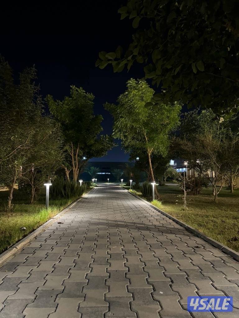 للأجار مزرعة قطعة 9 vvip في الوفرة 🌿🌴🍀☘️🌴 قطعه (9) طريق11