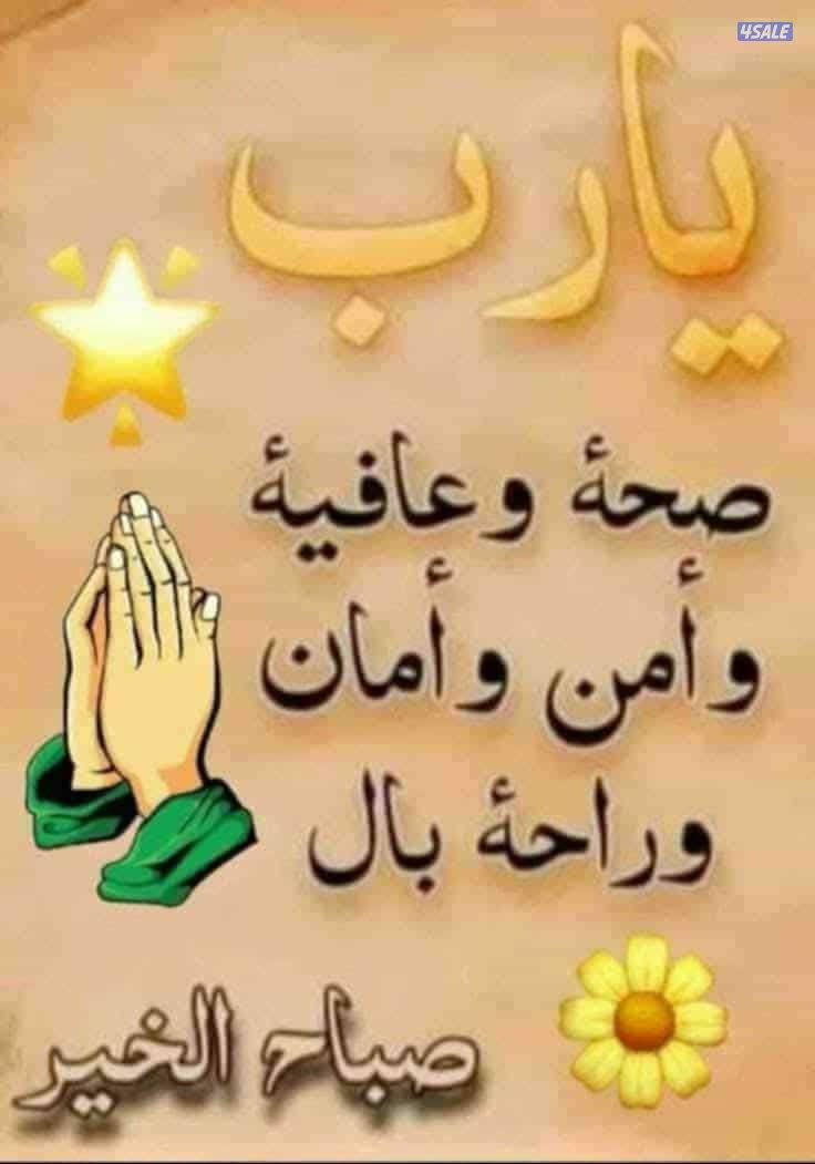 للايجار شقه ارضيه مدخل خاص با ابو فطيره ٣غرف ٣حمام وصاله ومطبخ0