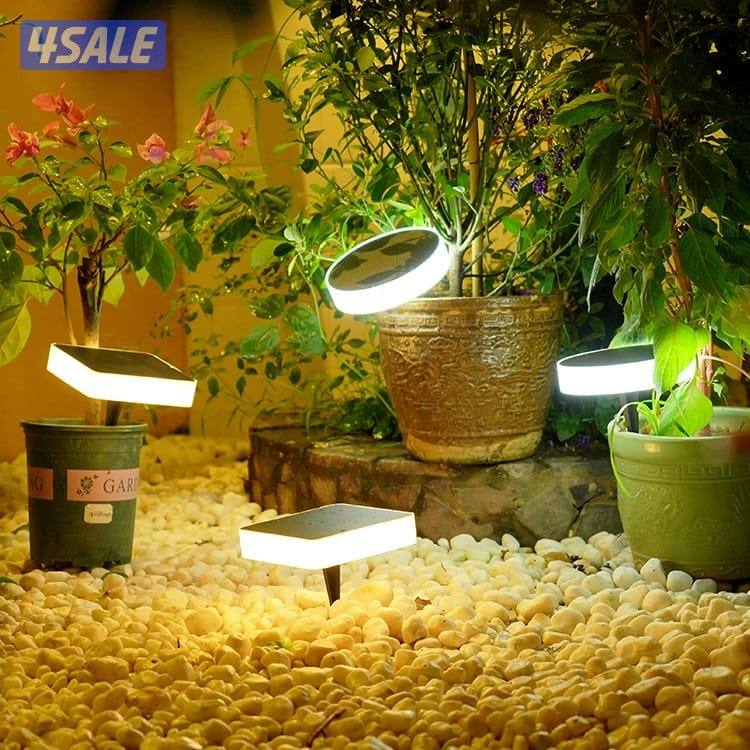 ليتات زينة طاقة شمسية10