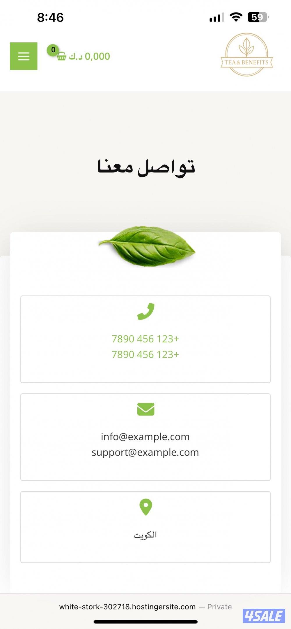 تصميم موقع الكتروني بالكامل2