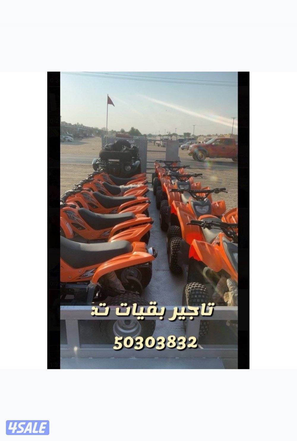 تاجير بقيات كبد فقط0