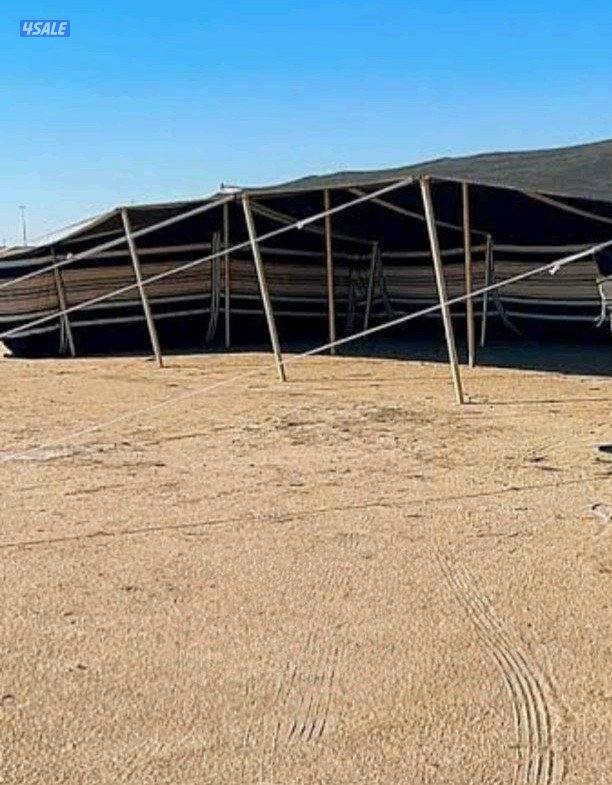 بيت شعر مثولث جديد لم يستخدم0