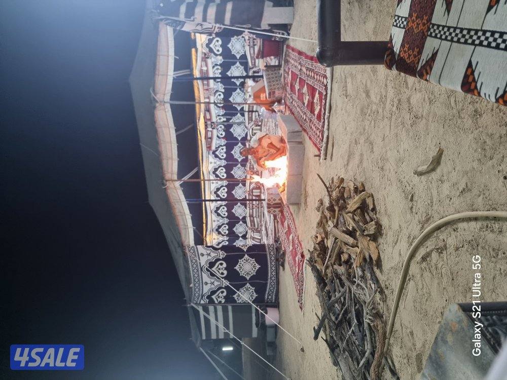 مزرعه في محافظه النعيريه (مليجه)11