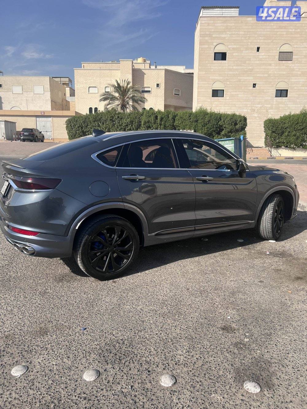 توجيلا ٢٠٢٣2