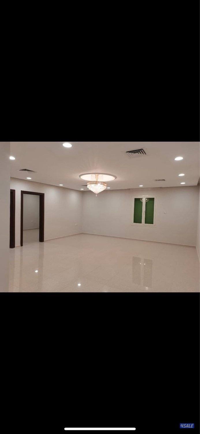 للايجار دور في الخالدية0