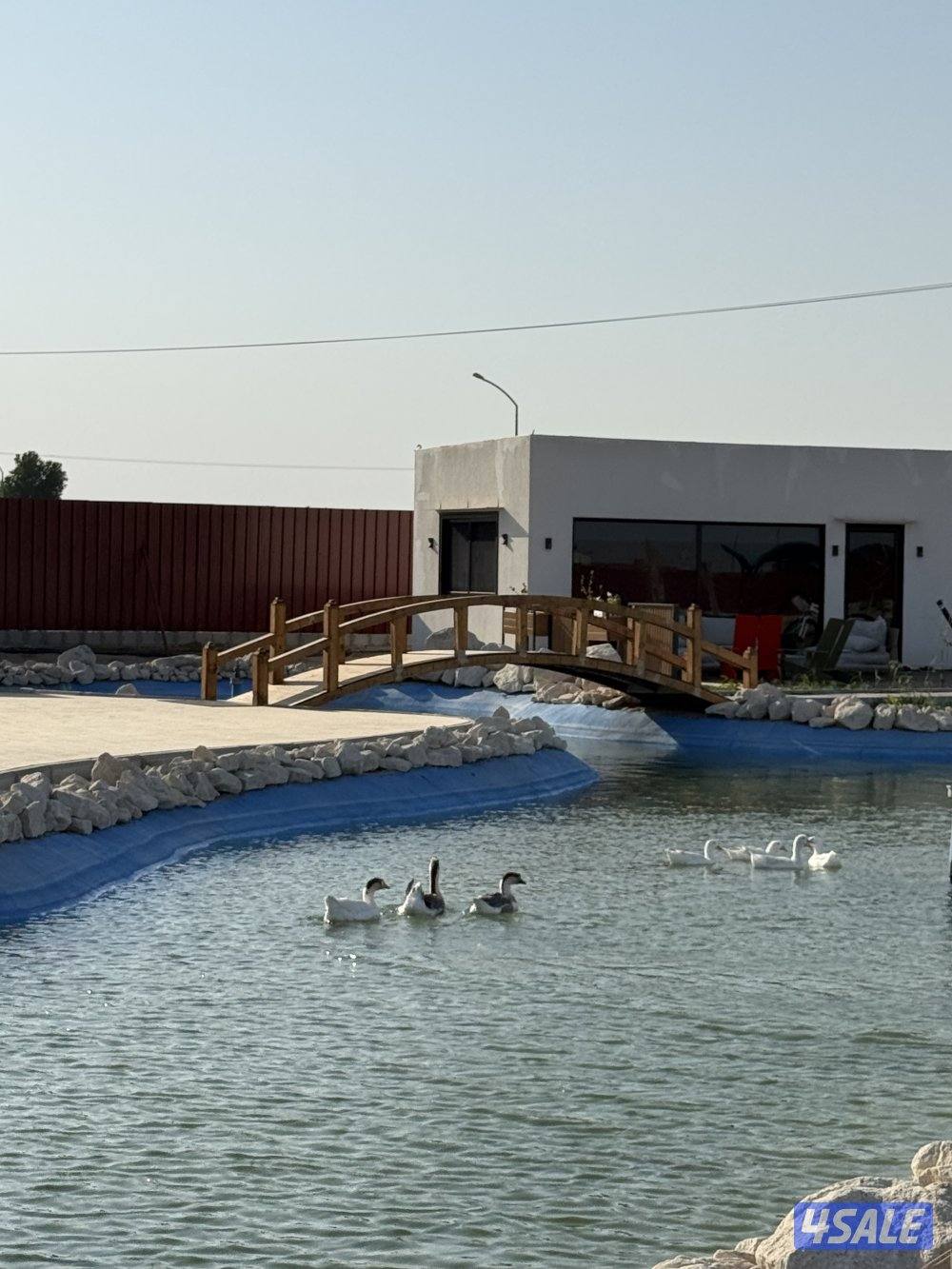 مزرعه بالعبدلي0