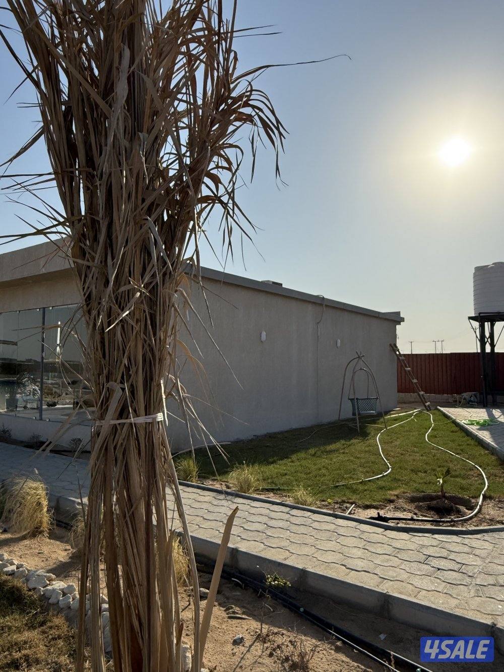 مزرعه بالعبدلي8