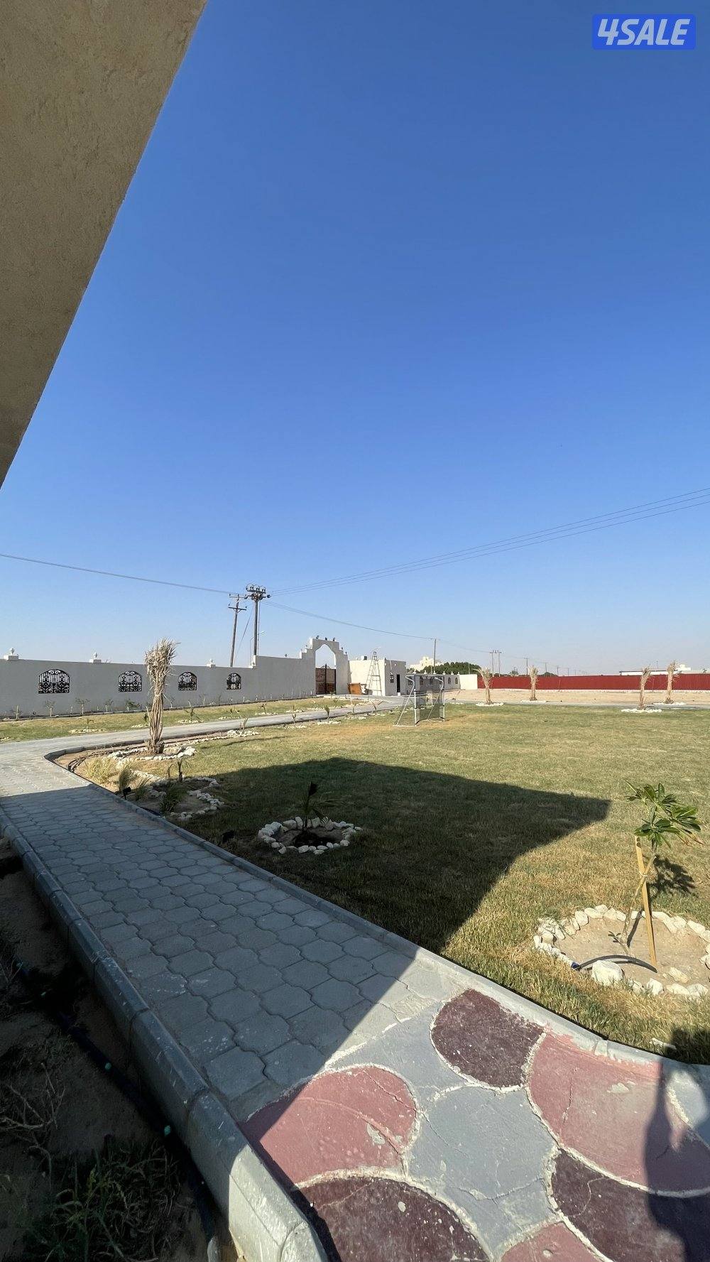 مزرعه بالعبدلي11