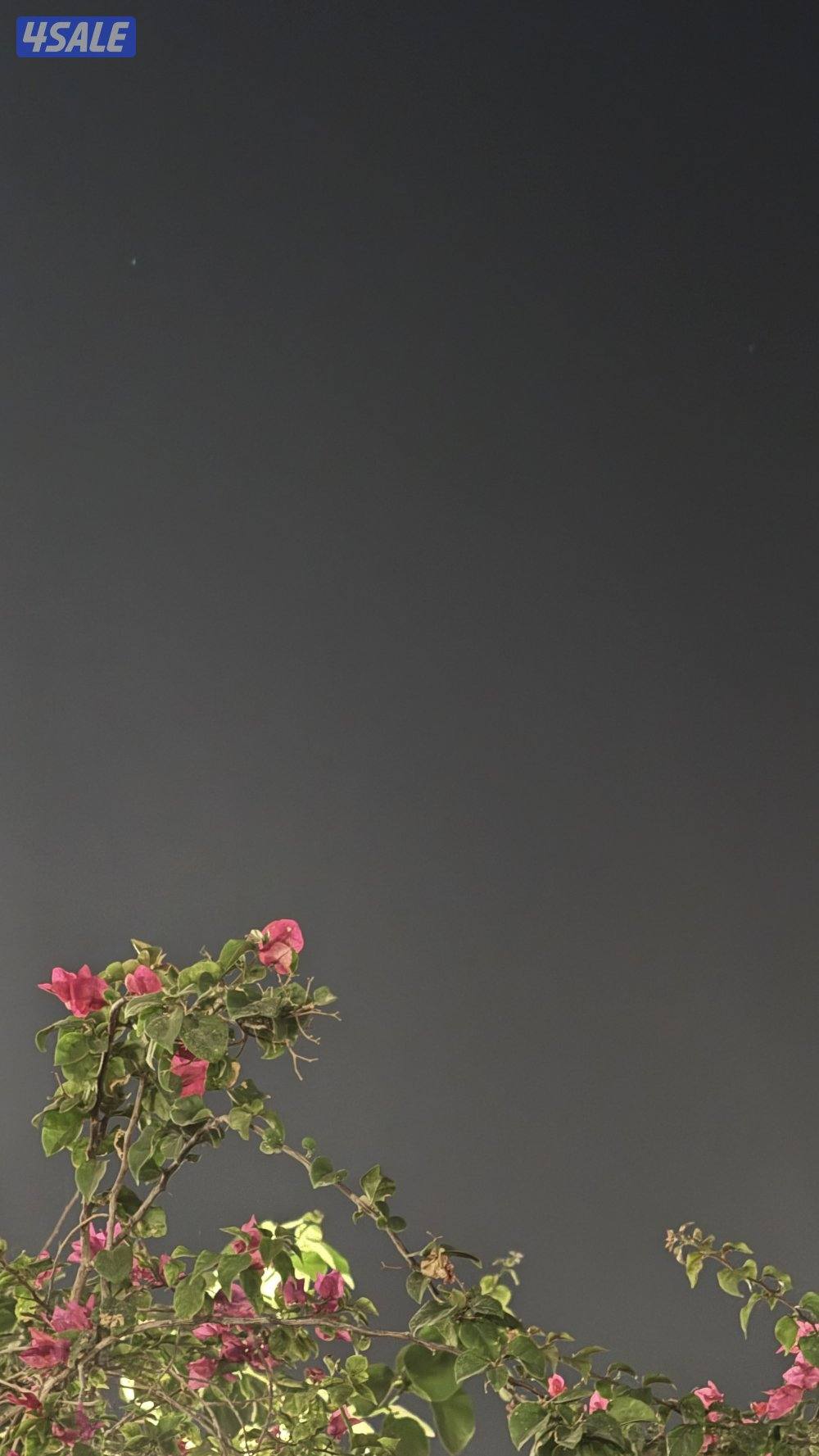 خبره مبيعات وكول سنتر0