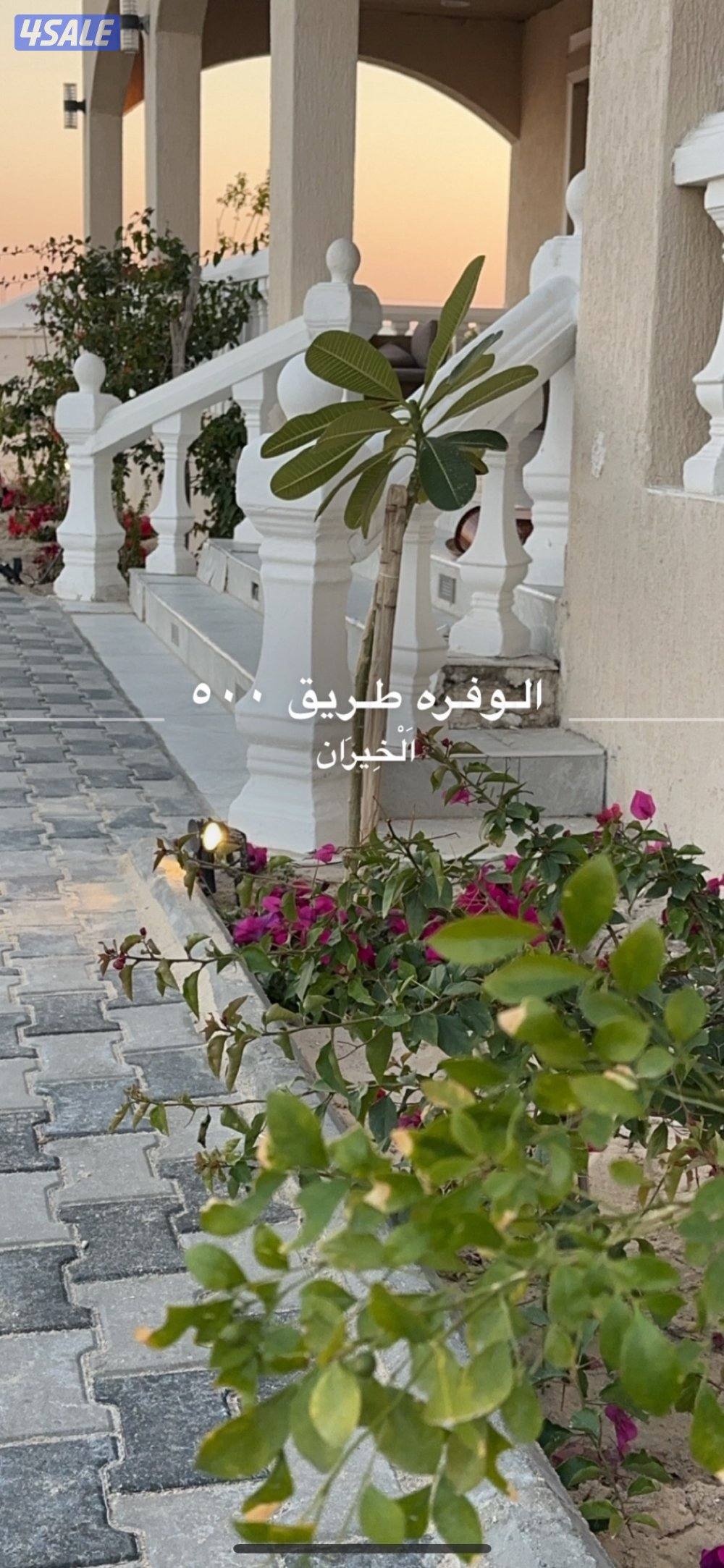 مزرعه بالوفره للايجار طريق5008