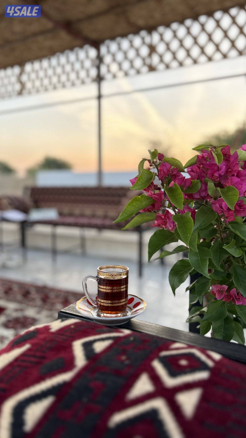 مزرعه بالوفره للايجار طريق50013