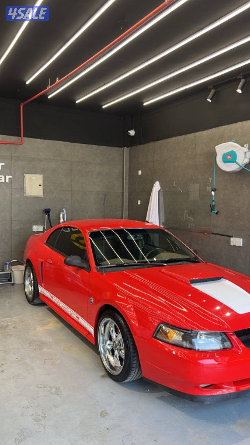 موستنق ٢٠٠٠3