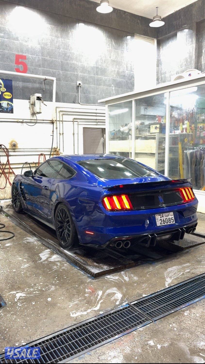 موستنق 2015 بيفورمس بكج قير عادي2