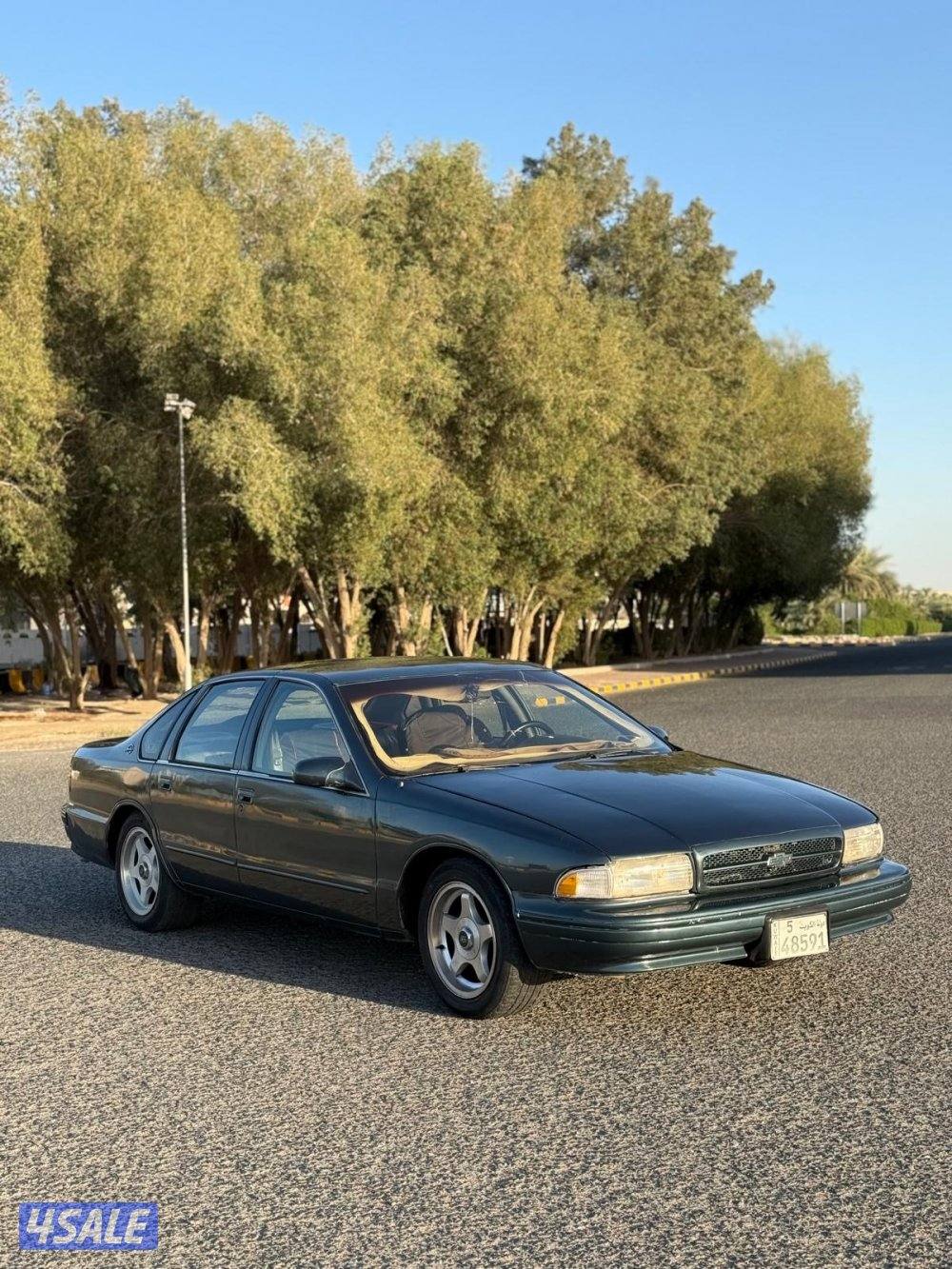 شفر كابرس SS1996 قير ارضي1