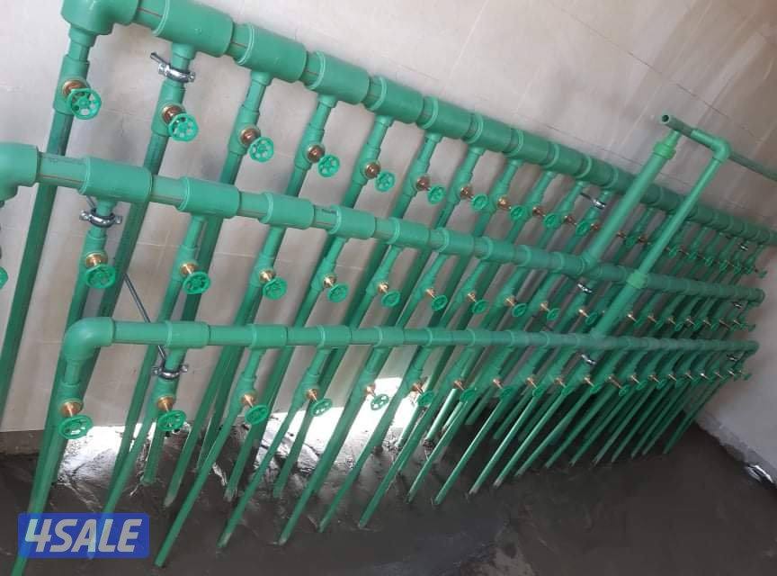 مقول وفني صحى4