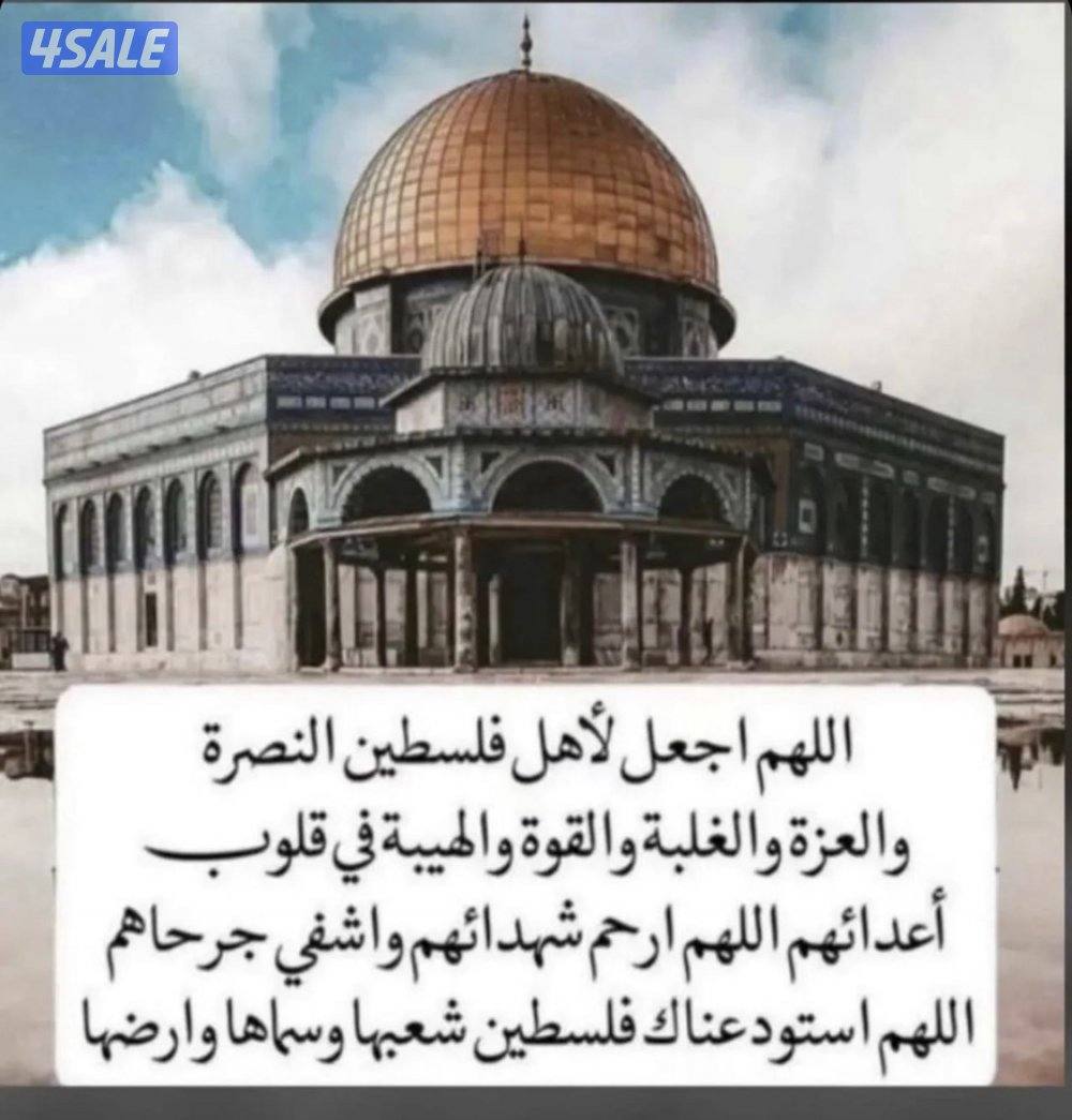 المطلاع N6 قطعة 40