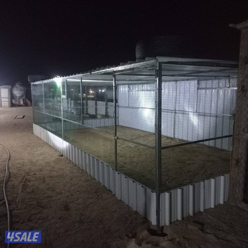 للبيع محاكر وأقفاص كيربي جميع الأحجام .. كما يوجد كبرات معزوله5