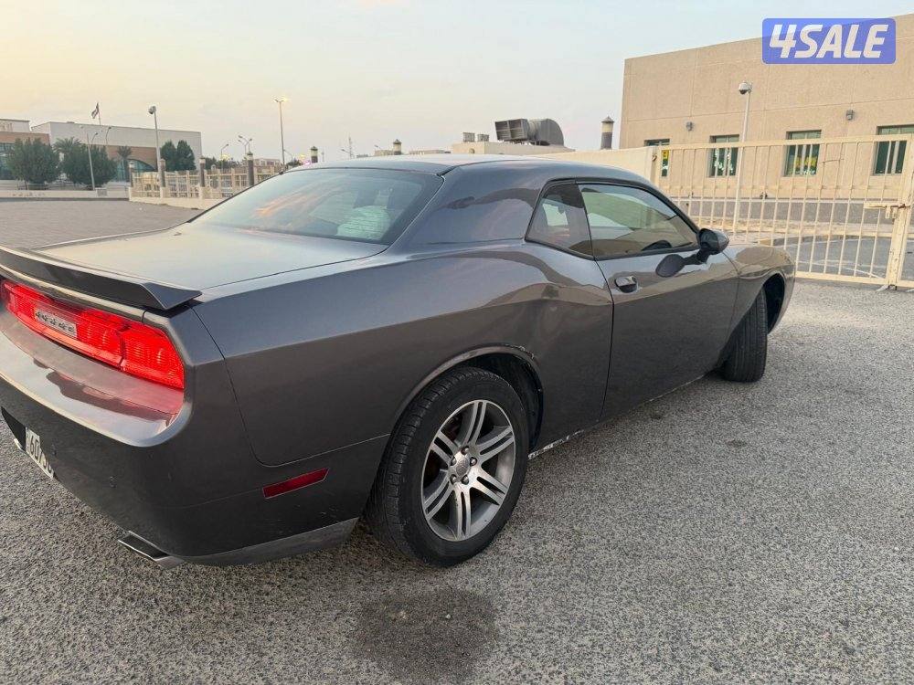 اللبيع ٢٠١٣1