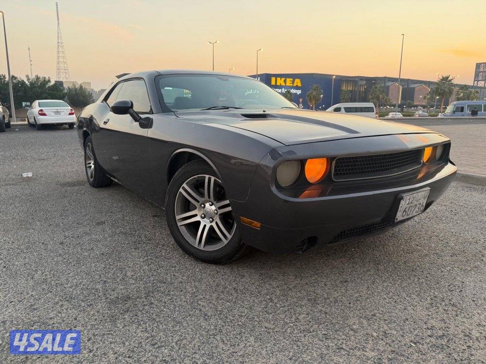 اللبيع ٢٠١٣4