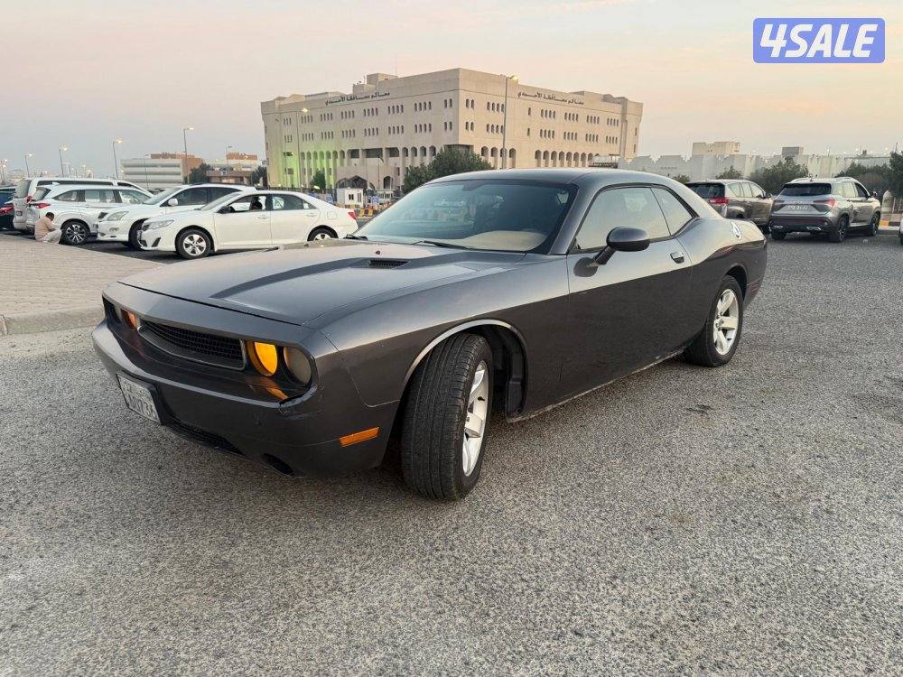 اللبيع ٢٠١٣5