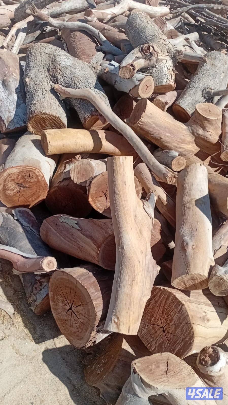للبيع حطب ناشف جروم كبار وصغار  ومقصص وفيه حمولات دنّه وعربانه1