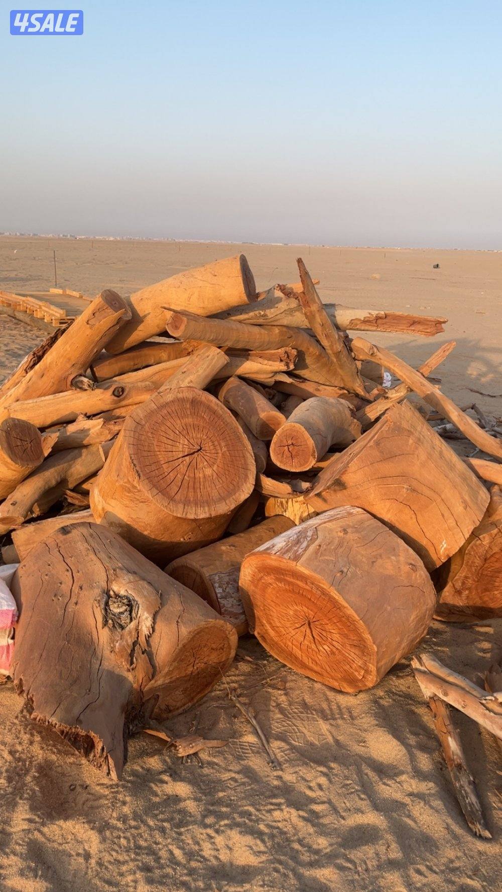 للبيع حطب ناشف جروم كبار وصغار  ومقصص وفيه حمولات دنّه وعربانه3