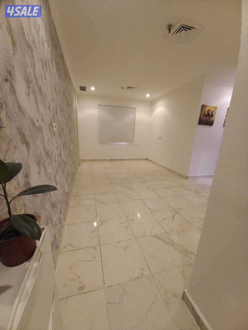 شقه للايجار1