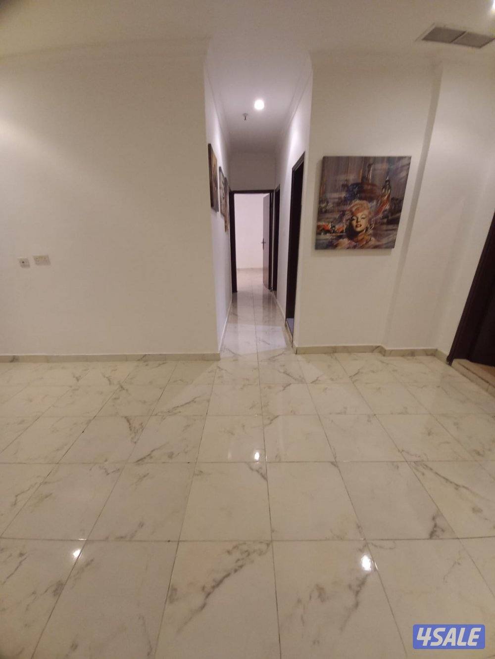 شقه للايجار2