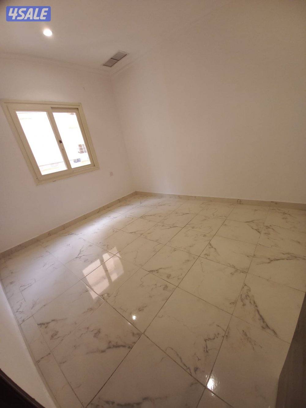 شقه للايجار5