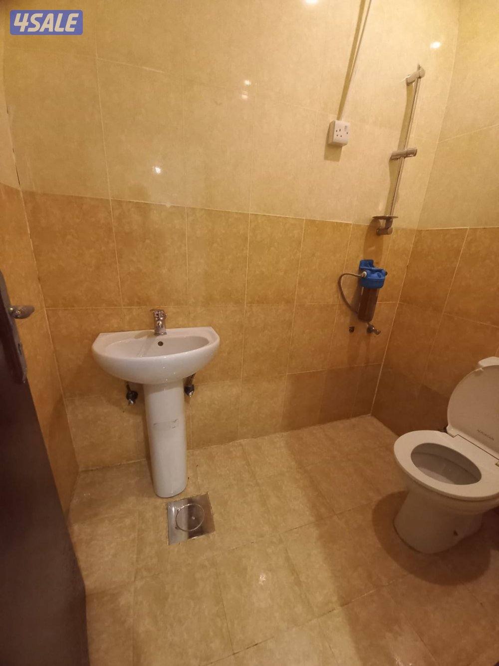 شقه للايجار7