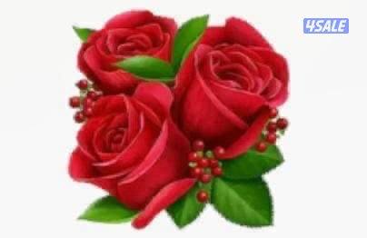 مدرس فيزياء للمرحلة الثانويه العاشر والحادي عشر والثاني عشر2