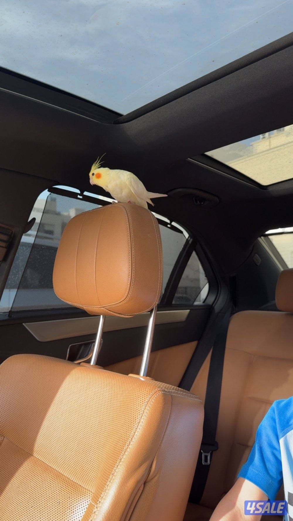 للبيع  مرسيدس E 5002