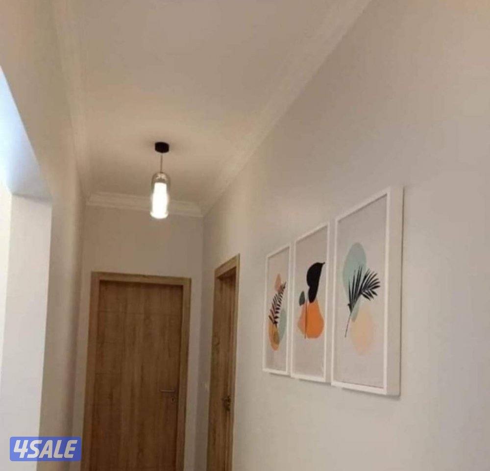 ابو محمود لجميع انواع الاصباغ  والجبسمبورد وديكور الجبس وعازل اسطح3