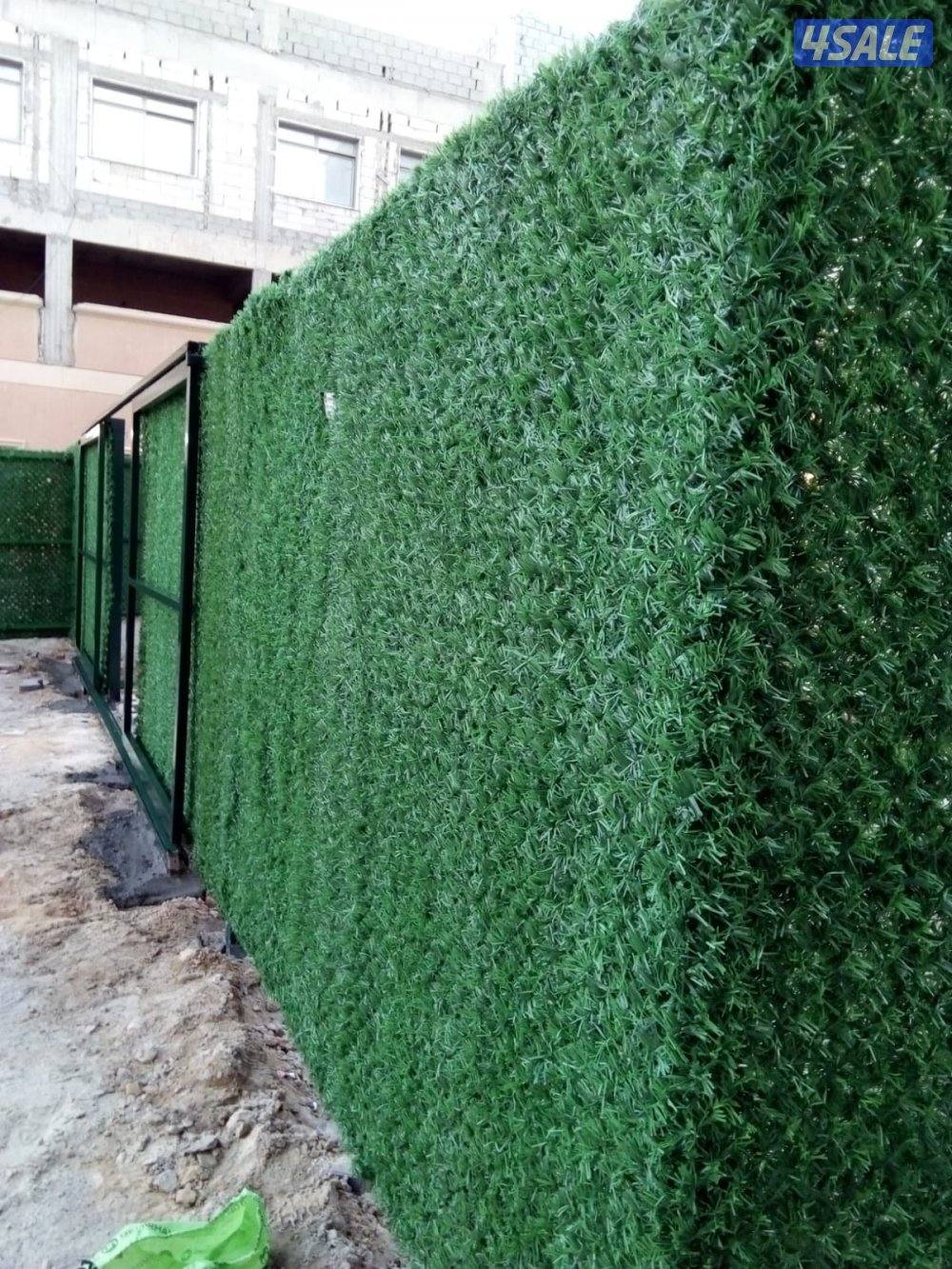 حداده عامه4