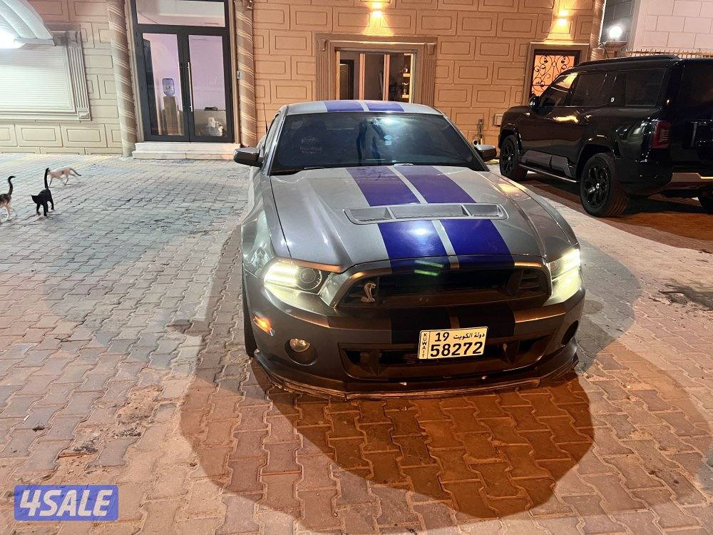 شيلبي ٢٠١٤0