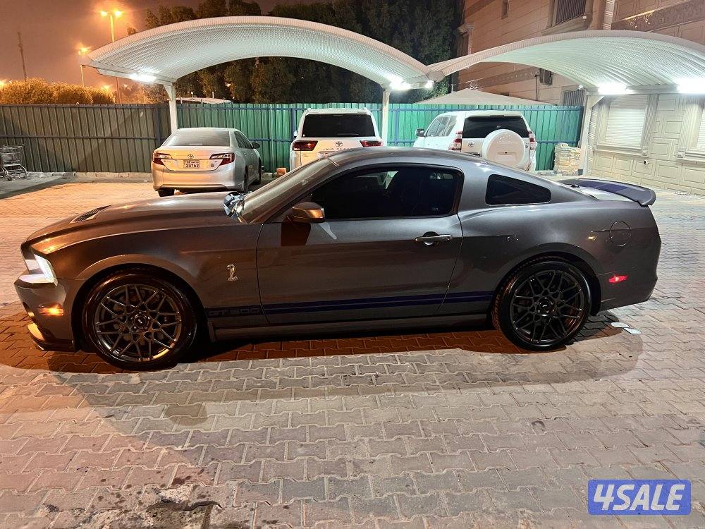 شيلبي ٢٠١٤1