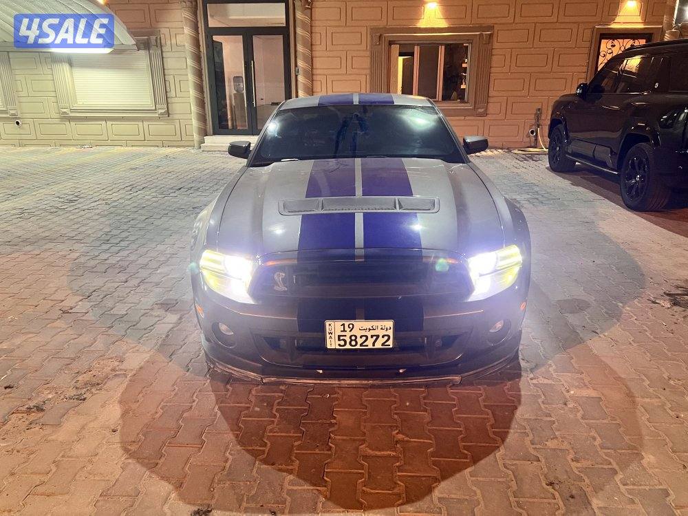 شيلبي ٢٠١٤2