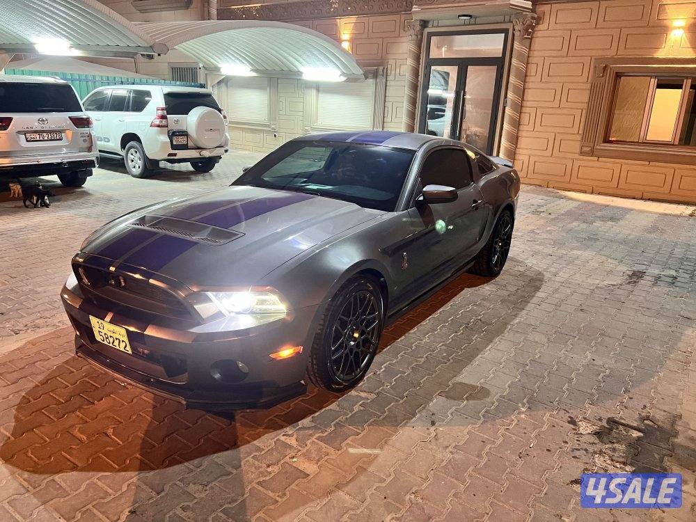 شيلبي ٢٠١٤4