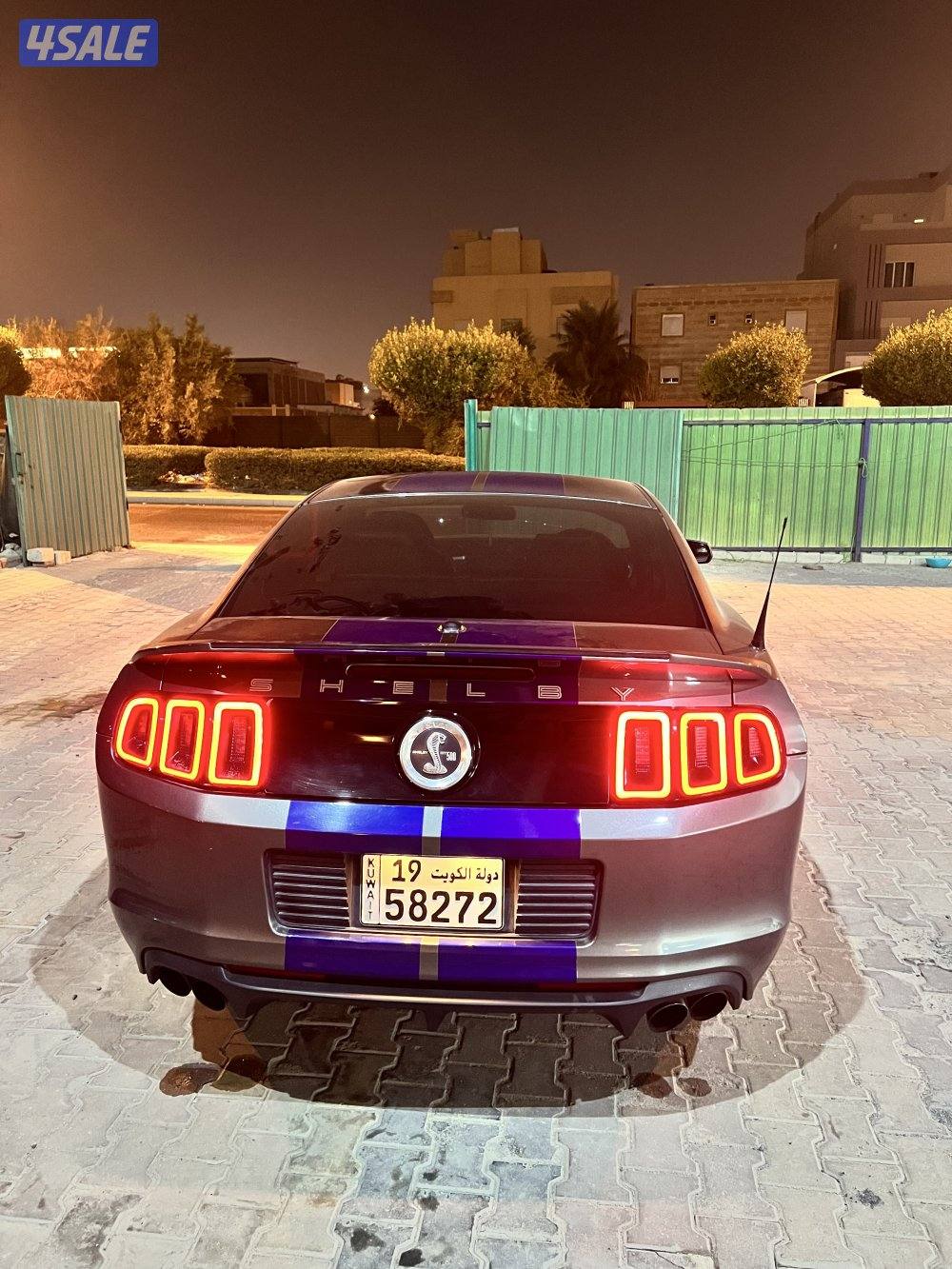 شيلبي ٢٠١٤5