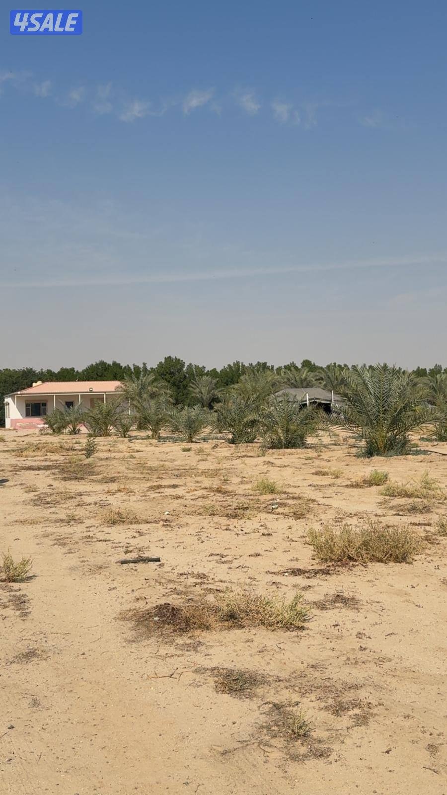 مزرعه في محافظه النعيريه (مليجه)13